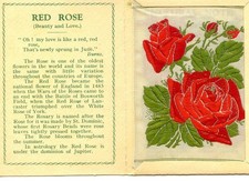 Kensitas WIX tobacco Medium