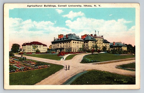 Vintage cornell university - cornell,