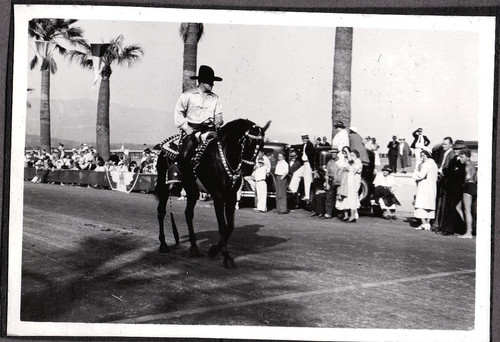 Old photograph cars horse - photograph,