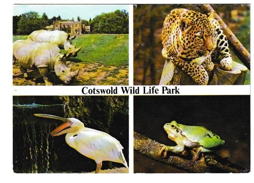 Cotswold wildlife park - park, zoo