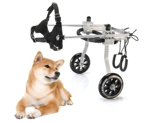 Anmas power dog wheelchair - anmas,