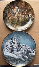 White Tigers, & The Bengal