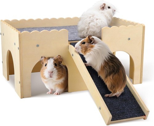 Guinea pig house - guinea, house large