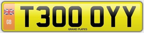 Toy number plate - t300, oyy