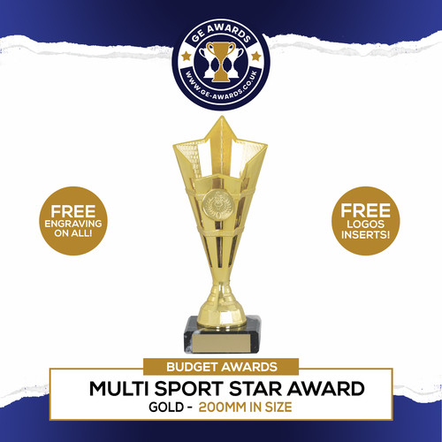 Multisport trophy gold star - trophy,