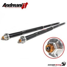 Andreani fork cartridges