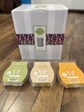 NEW IN BOX Scentsy "ETCHED