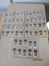 John Player & Sons Boy Scout & Girl Guide 1933 Full Set of 50 Cards in sleeves