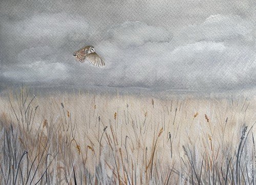 Wall art watercolour owl - art.,
