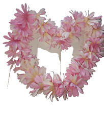 Hawaiian Party Fancy Dress Necklace Flower Luau Garland Brand New