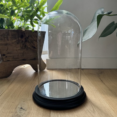 Large glass display dome bell - large,