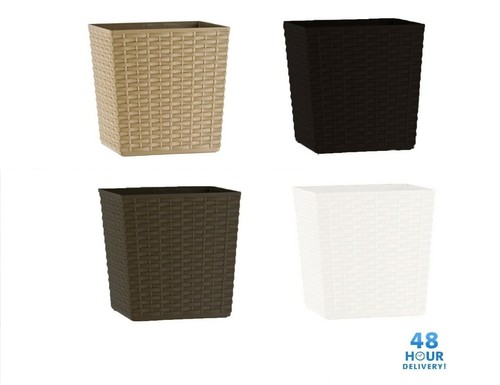 Plant pot rattan - plant,