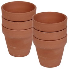 Terracotta plant pots - terracotta,