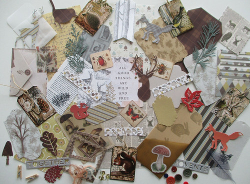 Woodland forest wildlife - woodland,