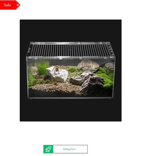 Reptile terrarium - reptile, pc