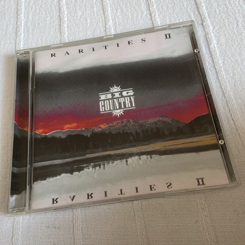 Big country stuart adamson - big,
