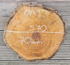 Oak Burr burl Cookie Slice
