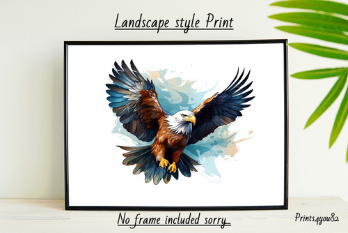 Bald eagle bird - bald,
