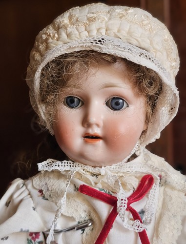 Adorable little schoenau - little,