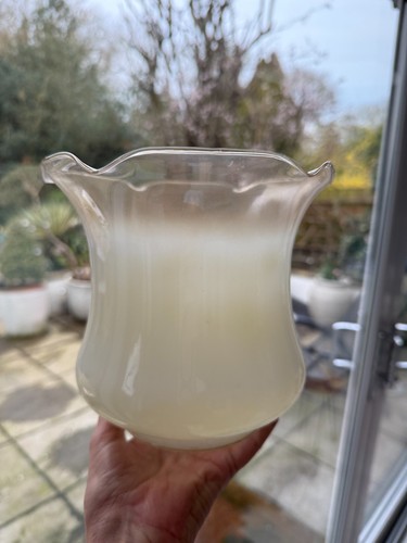 Antique tulip milky ivory wavy - tulip,