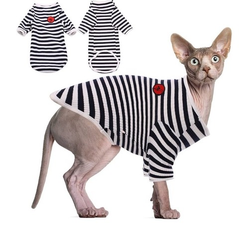 Sphynx cat clothes - clothes,, hairless