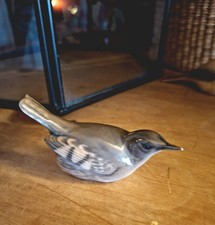 Beautiful little Royal