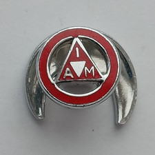 Institute advanced - institute, of