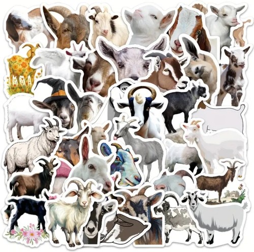 Goat stickers billy - x,