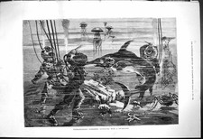 Old Print 1876 Extraordinary