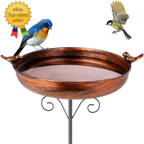 Inch tall bird - inch, with