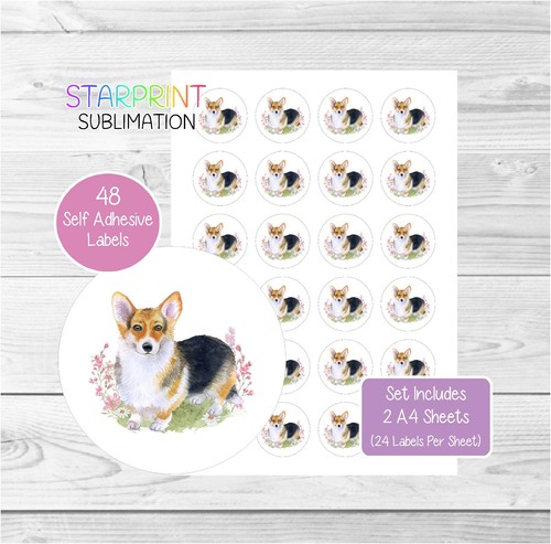 Corgi dog round - dog,