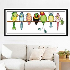 Cute Colorful Parrots Birds