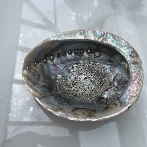 Vintage abalone mother - vintage,