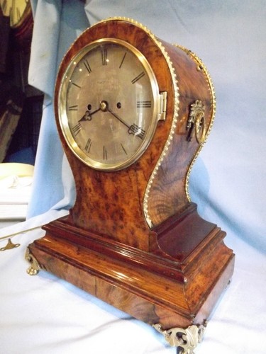 Fine walnut twin - walnut, fusee