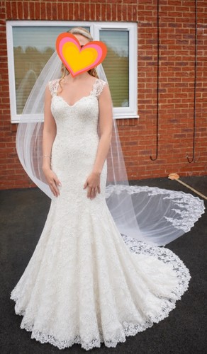 Victoria kay ivory lace - ivory,