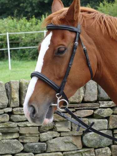 English leather snaffle - english,