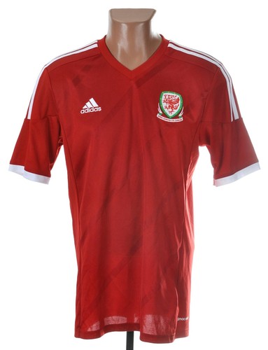 Wales national team - national,
