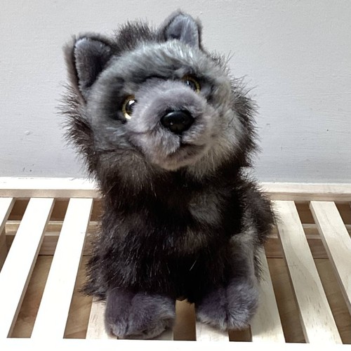 Petjes 990637 black wolf small - 990637,
