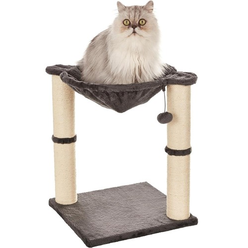 Cat tree hammock scratching - cat,
