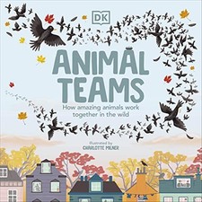 Animal Teams - Charlotte