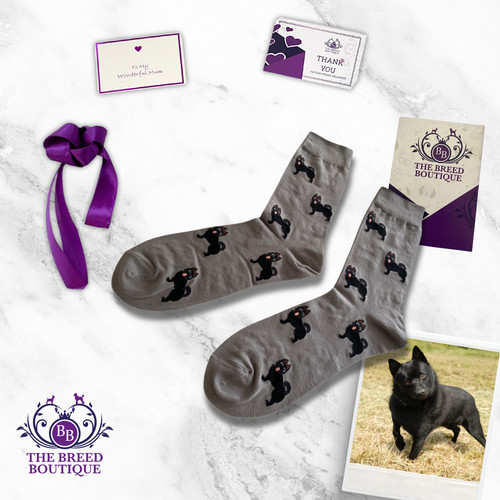 Schipperke dog socks - socks, fun