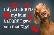 Hungarian Vizsla HV 02 Fridge