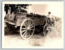 Boy posing on horse drawn FARM WAGON with hat real photo snapshot
