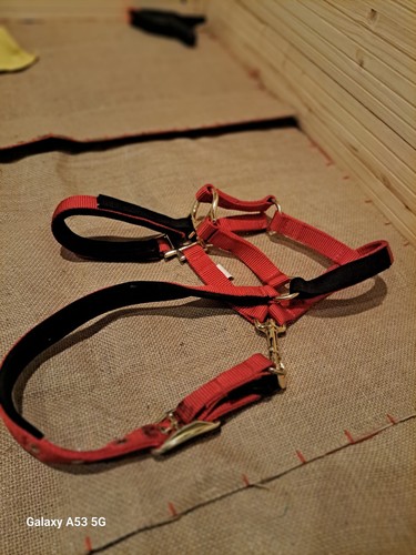 Reflective pet dog harness for - dog,