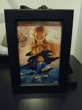 The Legend of Zelda signed