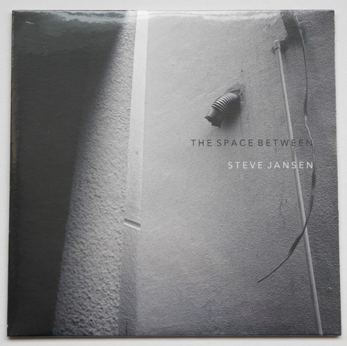 Steve jansen the space - steve,