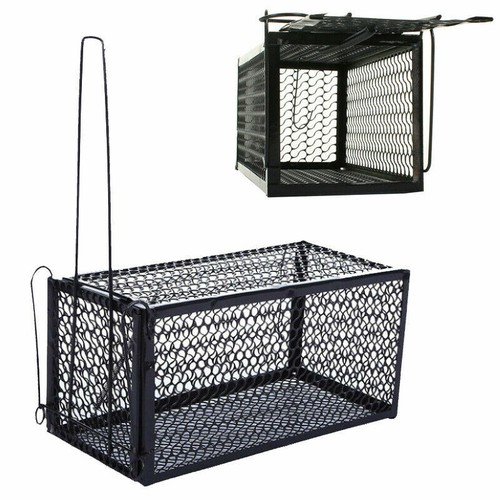 Rat mouse trap catcher humane - mouse,