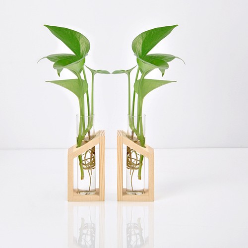Glass tube vase with bamboo - tube,