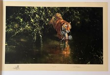 DAVID SHEPHERD SIGNED &