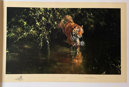 David shepherd signed - david,